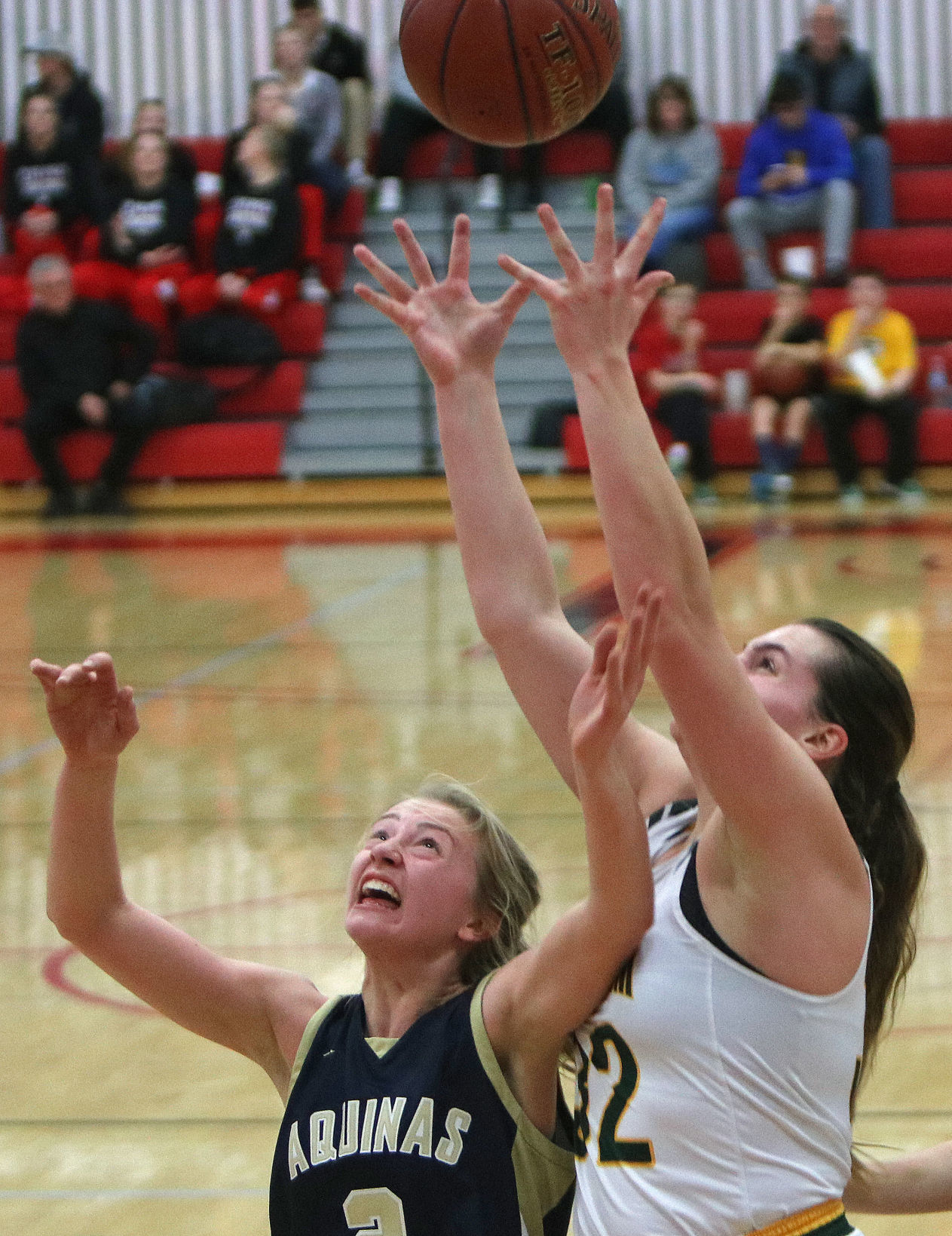 Macy Donarski, Avery Stonewall